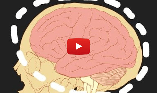 Brain Boosting Memory Hack