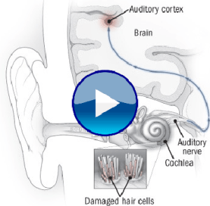 How to stop weird sounds in 3 easy steps.